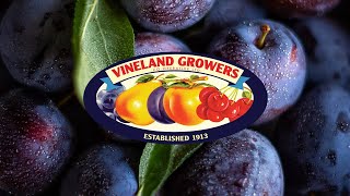 Vineland Growers Company Profile