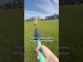 Moon Ball rally challenge with the Moon Cracket Bat! 🤙 #cricketbat #rally #moonball #bouncyball