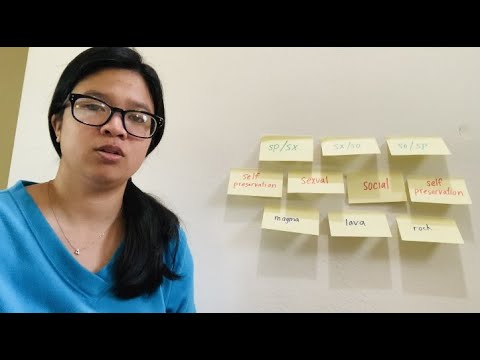 Instinct Contraflow - Sp/Sx, Sx/So, So/Sp