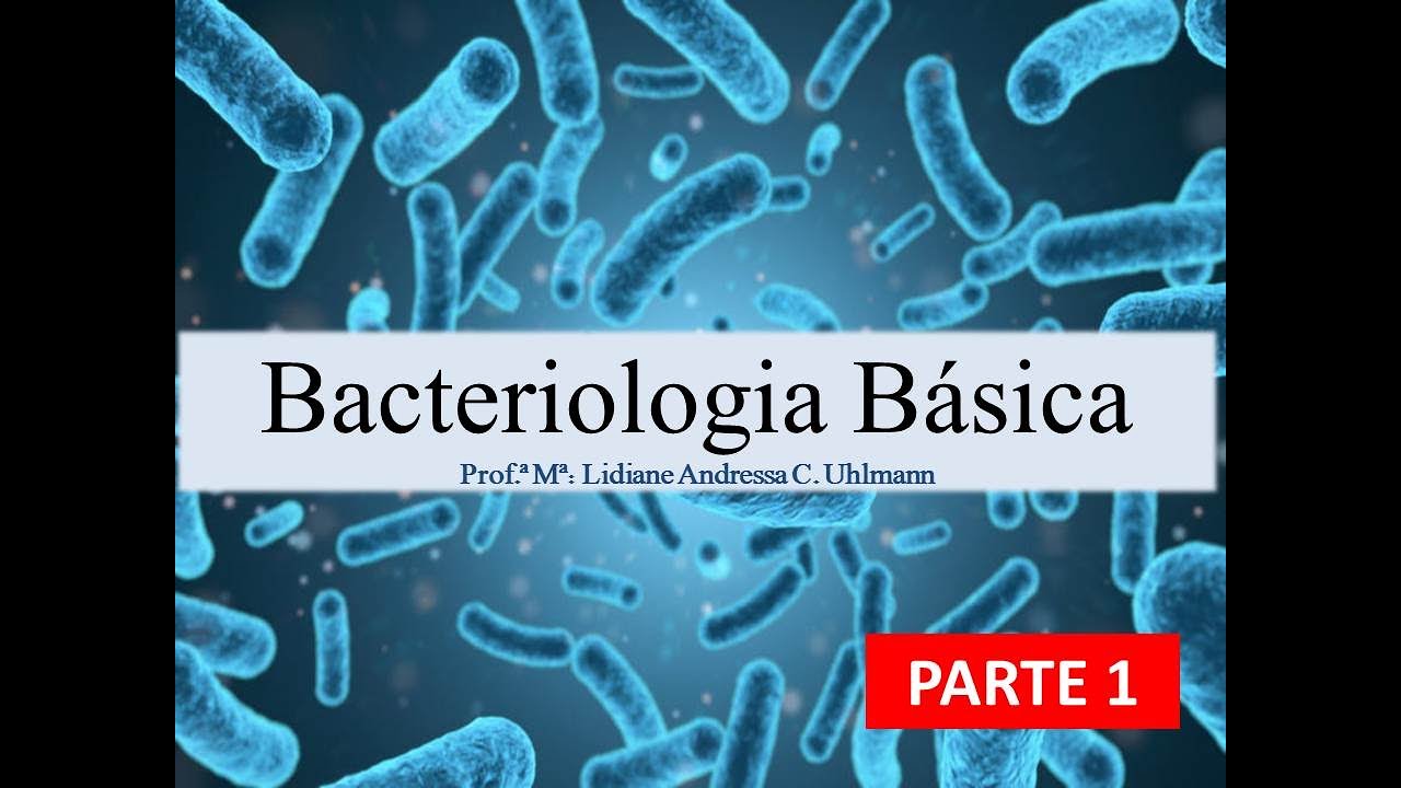 Bacteriologia Básica (parte 1)