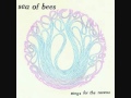 Sea of Bees - Blind 