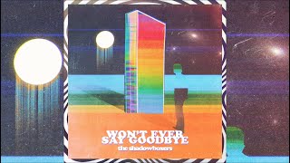 The Shadowboxers | WON&#39;T EVER SAY GOODBYE | (Official Audio)