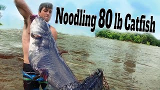 Noodling Catfish: Catching & Noodling Giant Catfish By Hand [Hillbilly Handfishing] | SFSC