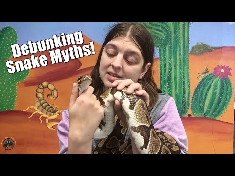 Why You Should NOT Be Afraid of Snakes! -- Debunking Snake Myths & Misconceptions 🐍