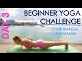 Day 3 Beginner Yoga Challenge Chaturanga Dandasana