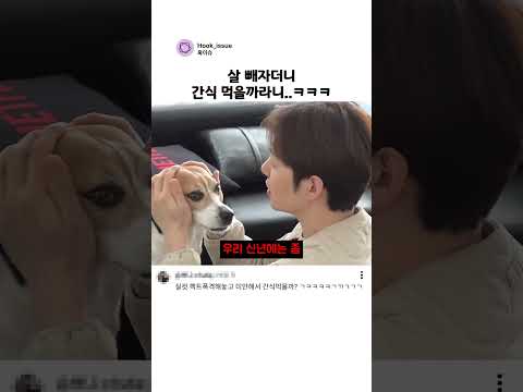 살 빼자더니 간식 먹을까라니 ㅋㅋㅋ