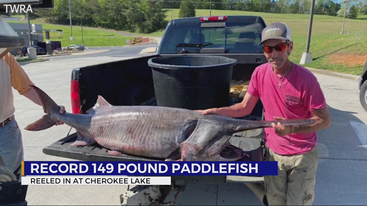 New record set as East Tenn. man reels in massive paddlefish