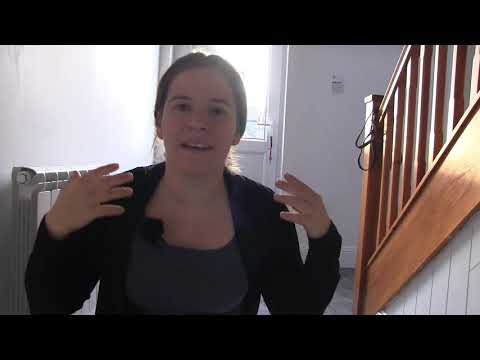 Entspannt das Haus verlassen! - Das kann auch dein Hund!