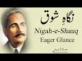 nigaah-e-shauq