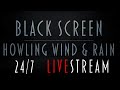Black Screen Howling Wind & Rain & Thunder | LiveStream 24/7