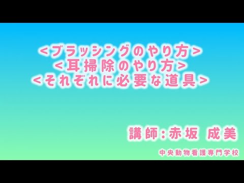 看護学科 【公開講座】群馬専修学校各種学校連合会　前橋支部（中央動物看護専門学校）「お家でできる愛犬のお手入れ方法」
