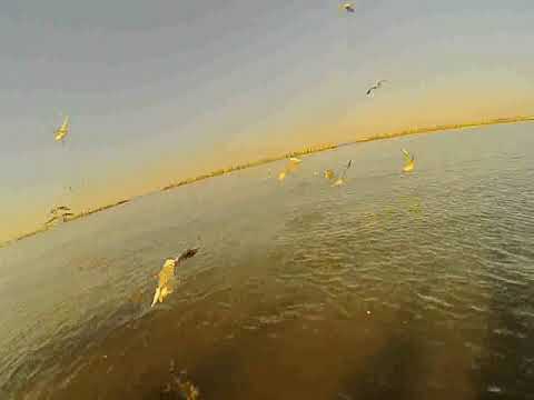 Gatteo e Santarcangelo con AUSER 2021