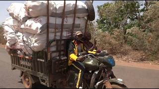 Entrepreneuriat: Natou Traoré, vendeuse de fruits et légumes fait preuve de courage et de résilience