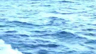 Jimmy Durante: You Made Me Love You