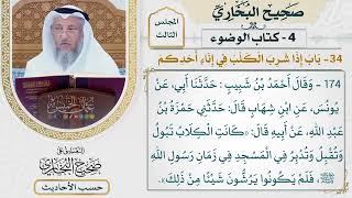 [174] حديث: كانت الكلاب تبول وتقبل وتدبر في المسجد [باب الماء الذي يغسل به شعر الإنسان]