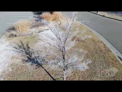 01-16-2022 Andover, KS - Beautiful Rime Ice Covers Trees