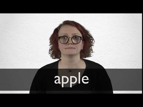 German Translation Of Apple Collins English German Dictionary