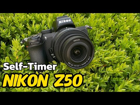 Self-Timer on Nikon Z50: Complete Setup Guide