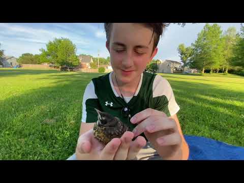 Kasida "Ptica džennetska" sa iznenadnim gostom...❤️🕊