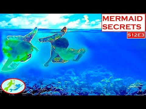 Mermaid Secrets of The Deep - DOWN - S12E3 | Theekholms