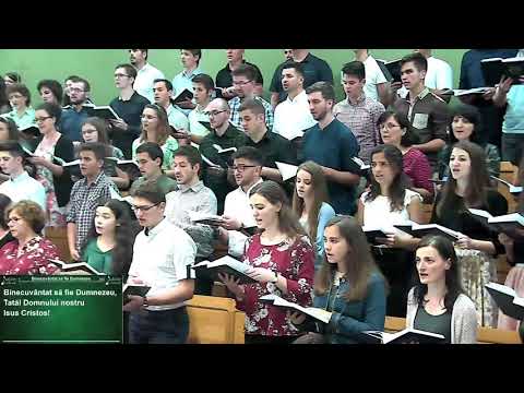 O inimă și un glas  - Timișoara