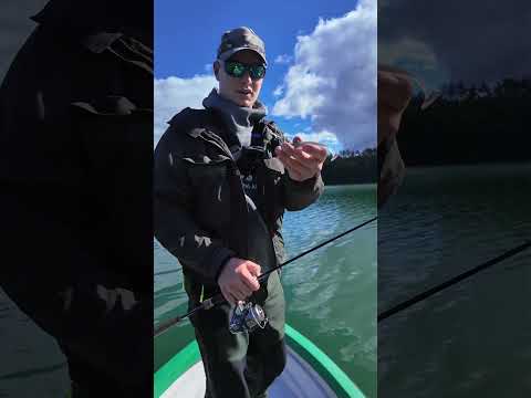 Kołowrotek Daiwa 23 Airity LT 2500