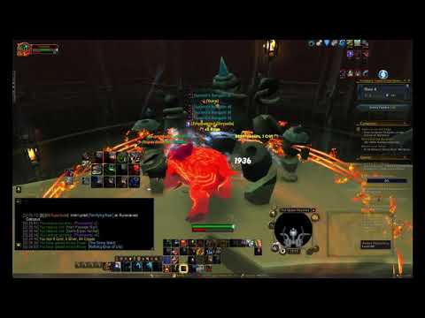 The Upper Reaches Layer 8 Bear