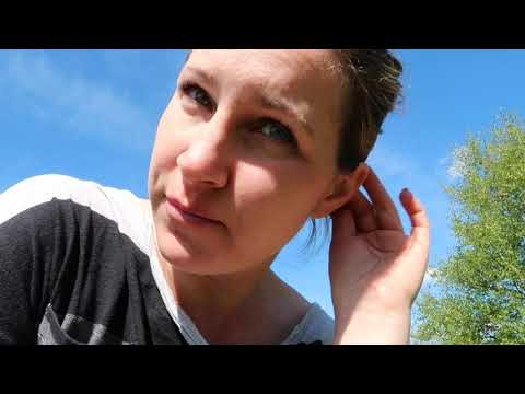 Poolpremiär! och sorkproblem :/