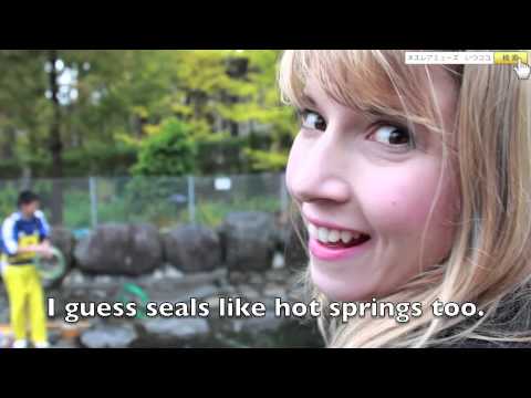 [いつも仲間と!] Pets, Aquariums, Magic Boxes in Hakone 箱根の魔法の箱