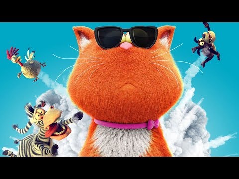 Beépített Cicó trailer