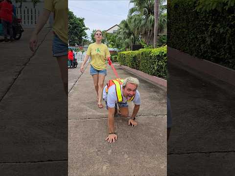 The guide dog decided to run away from its owner 😍😘