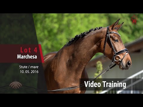 4 Marchesa v. Marqués - Ehrentanz I_Trainingsvideo