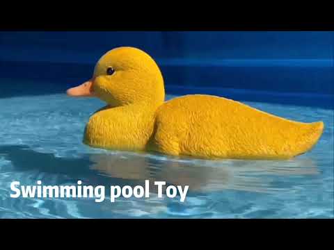 RC Duck Boat For Education Toy