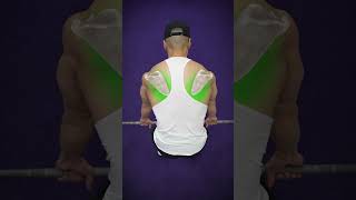 ✅ The PERFECT Barbell Row