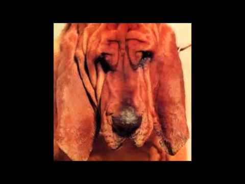 download lagu mp3 mp4 Goodbye Bread, download lagu Goodbye Bread gratis, unduh video klip Goodbye Bread