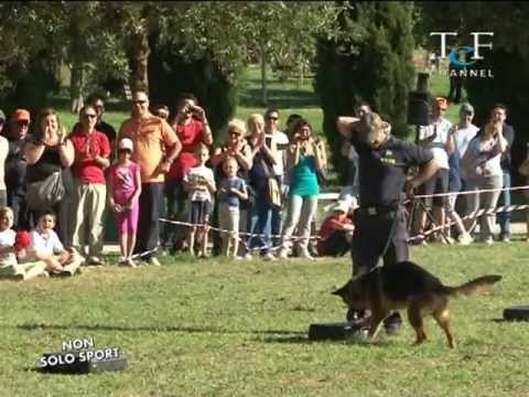 Per Martino Martinelli - In memoriam 15.6.2013