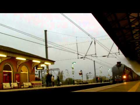 Bittern passing Grantham - 28 04 13