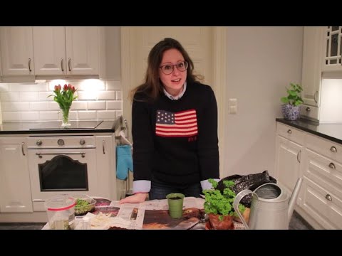 Tessans trädgårdstips Del 6