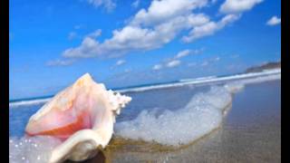 Henry Mancini -   Tiny Bubbles