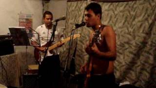 Mr Jingles   Apache Rose Peacock