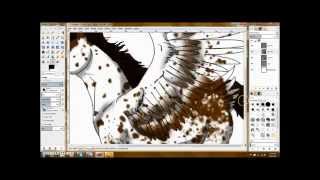 Appaloosa Pegasus Horse: SpeedPaint
