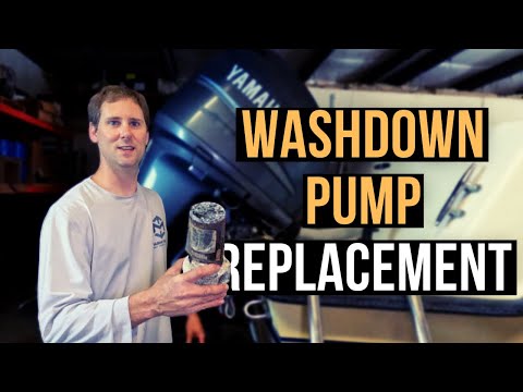 Washdown Pump