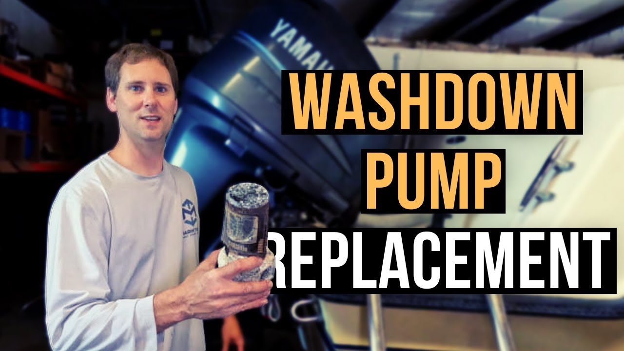 Washdown Pump