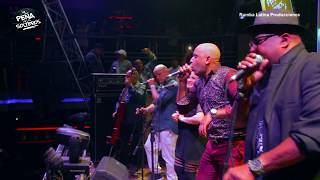 Amiga Mia - Los Van Van / Live La Peña de los Solteros - Perú 2018