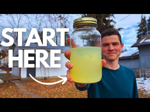 Transform Your Garden With Korean Natural Farming