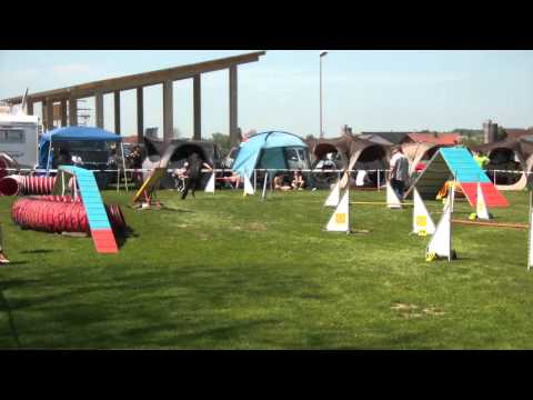 Sina Just mit Ianna, Eggenfelden, 01.05.2012, A-Lauf