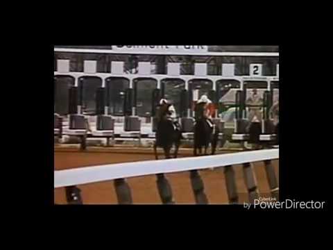 Ruffian vs. Foolish Pleasure 1975