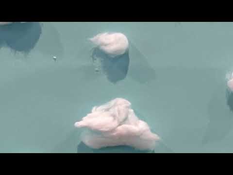 Mixed Media - Herinnering Speelplaats 22.11.2024