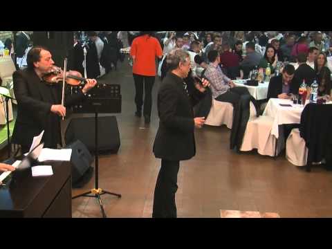 Muzička Nova godina, Pančevo 2014, Orkestar Romalenfamily Vasić Dragutin Dimitrijević Guta