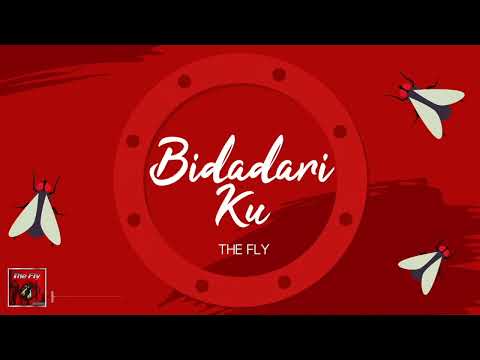 The Fly - Bidadariku (Official Lyric Video)